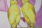 Canaries